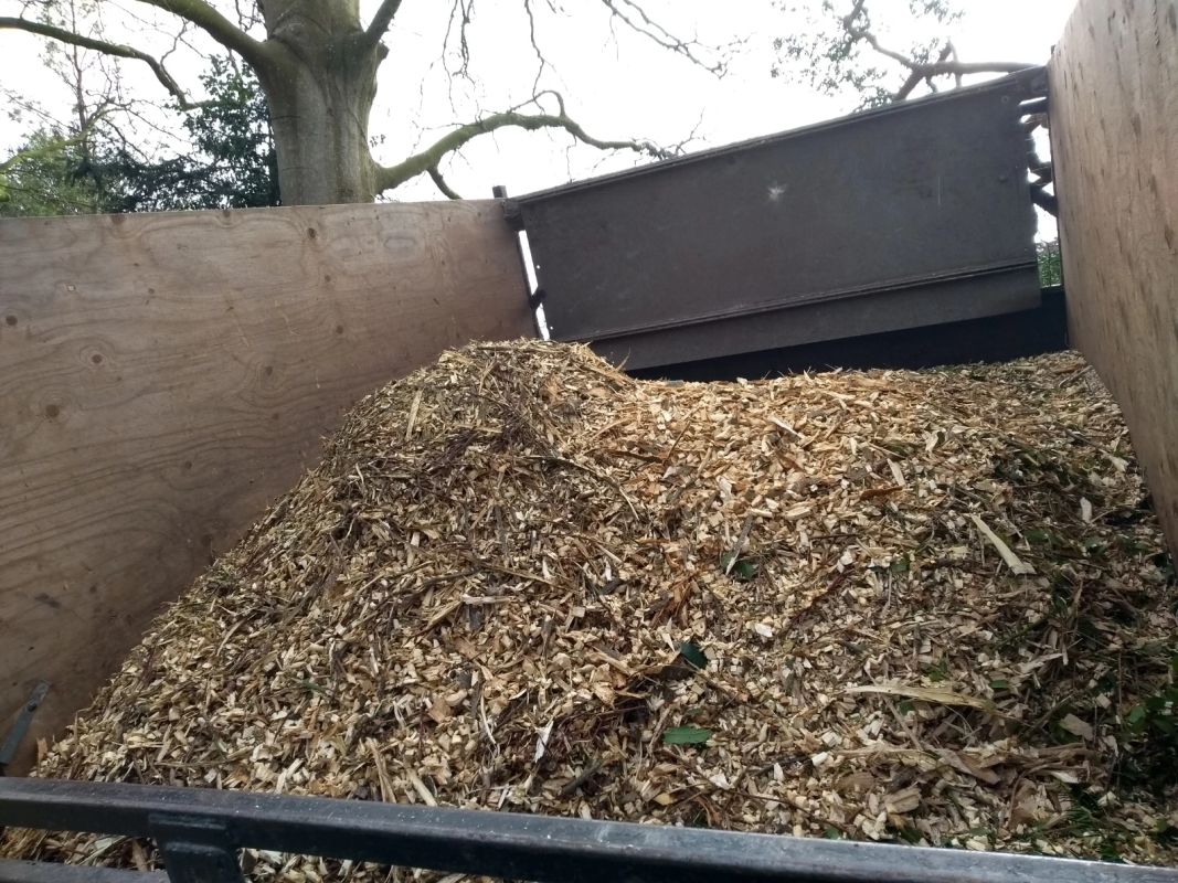 Recycled wood chips loaded into a truck for reuse